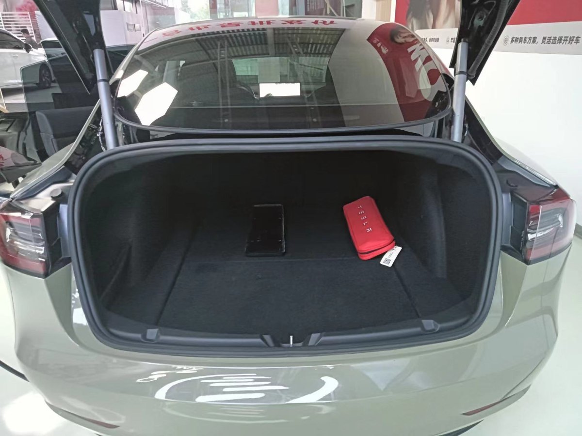 特斯拉 Model 3  2019款 標(biāo)準(zhǔn)續(xù)航后驅(qū)升級(jí)版圖片