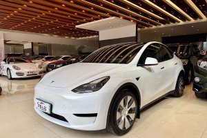 Model Y 特斯拉 改款 后輪驅(qū)動(dòng)版