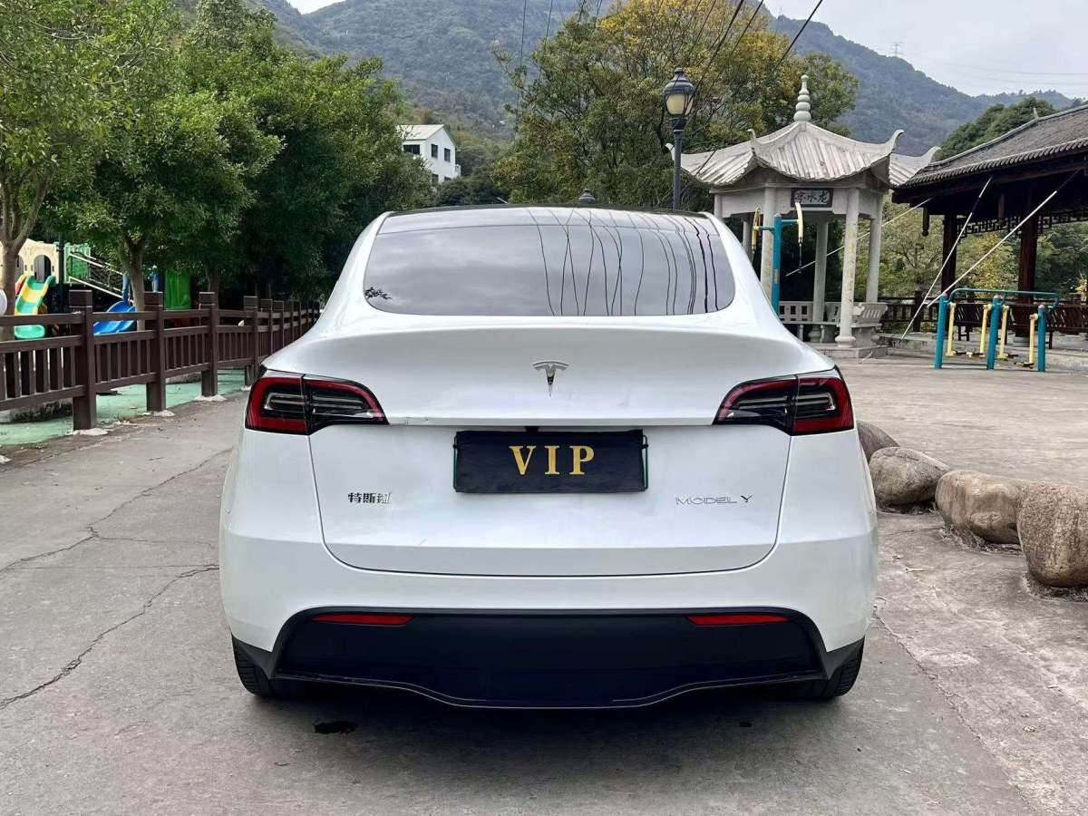 特斯拉 Model 3  2022款 后輪驅動版圖片