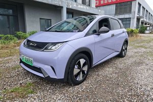 海豚 比亞迪 420km 時尚版