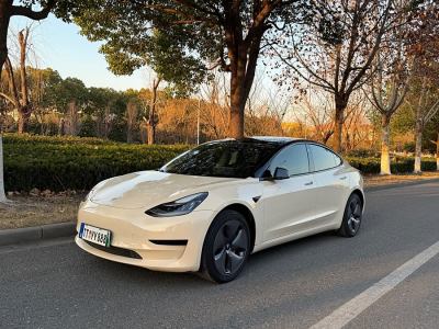 2020年3月 特斯拉 Model 3 改款 標(biāo)準(zhǔn)續(xù)航后驅(qū)升級(jí)版圖片