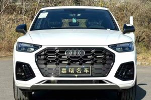 奥迪Q5 e-tron 奥迪 50 e-tron quattro 光耀型 机甲套装