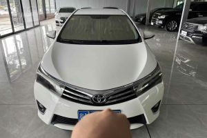 卡羅拉 豐田 