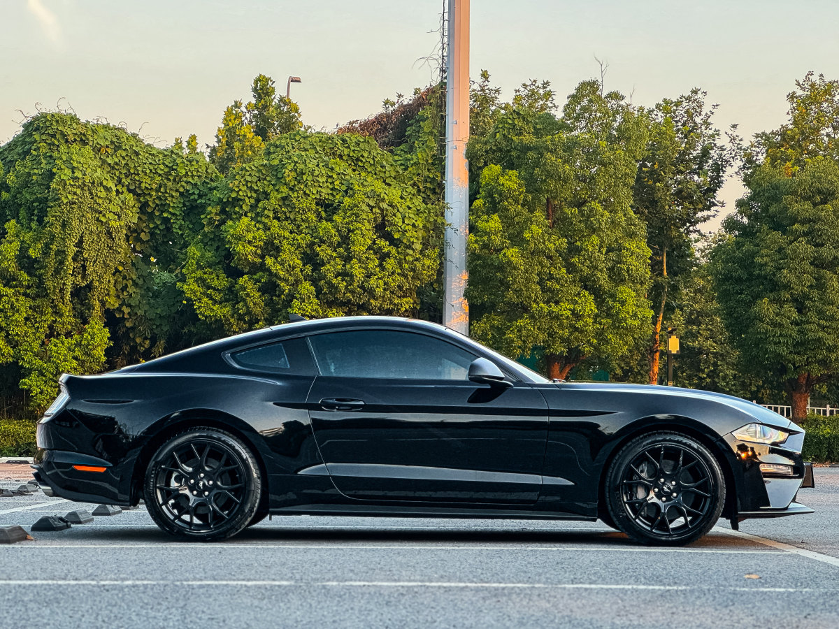 2023年6月福特 Mustang  2021款 2.3L EcoBoost