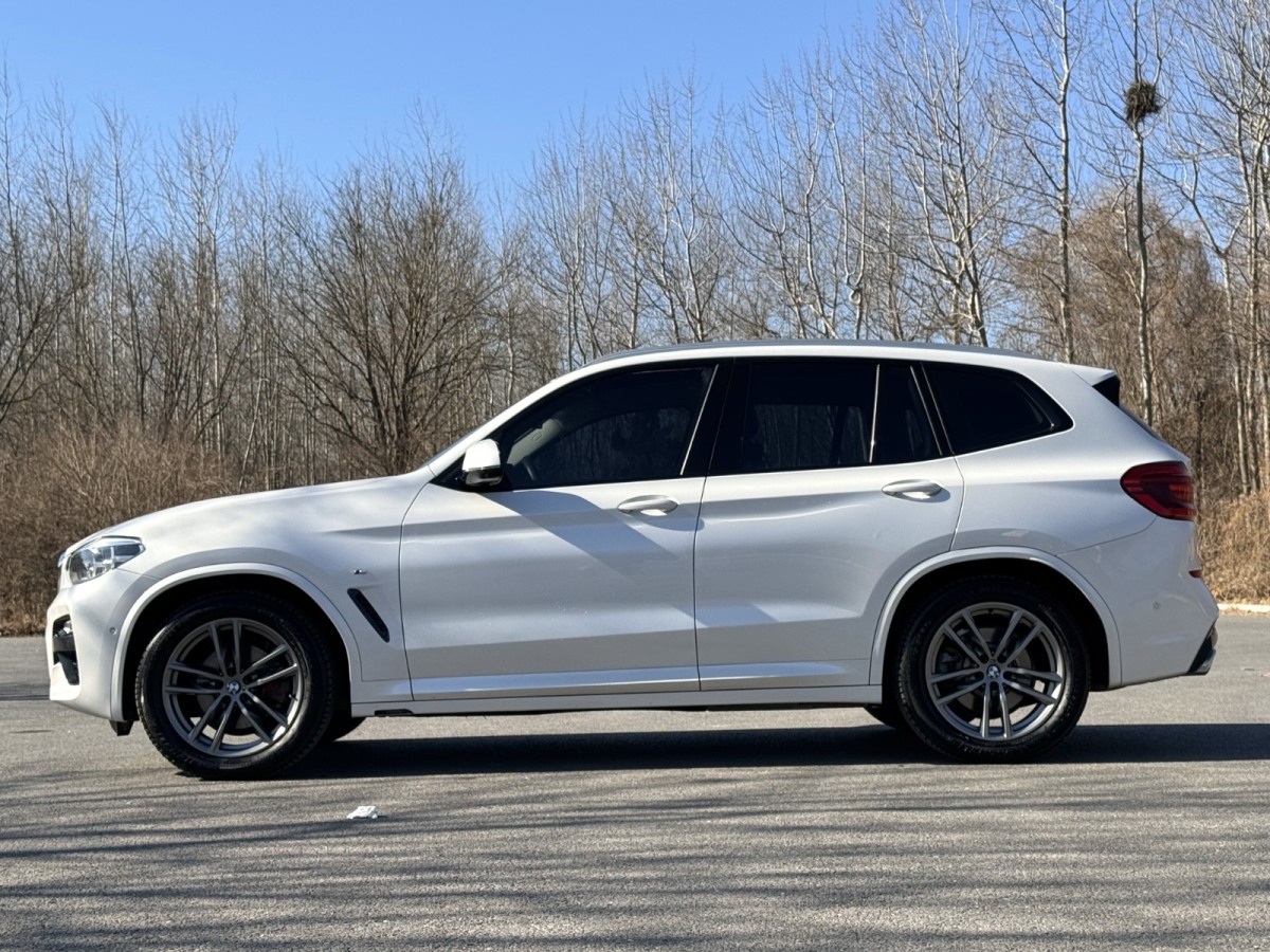 寶馬 寶馬X3  2019款  xDrive30i 領(lǐng)先型 M運(yùn)動(dòng)套裝圖片