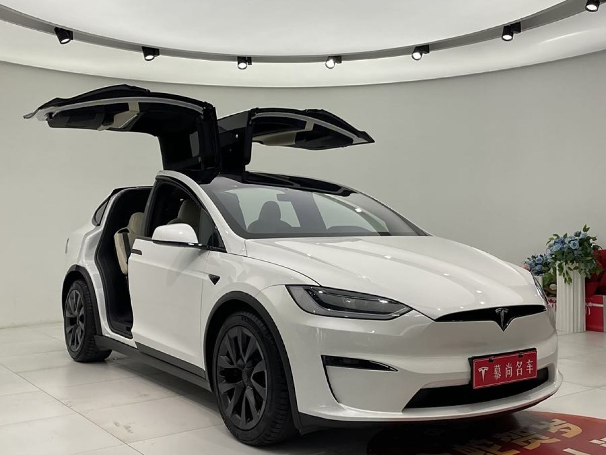 特斯拉 Model X  2023款 雙電機(jī)全輪驅(qū)動(dòng)版圖片