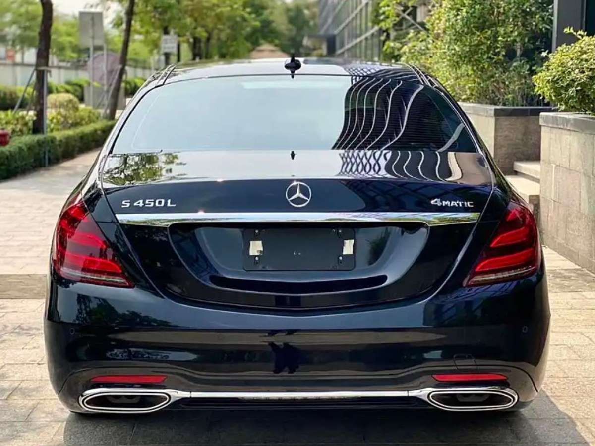 奔驰 奔驰S级  2019款 S 450 L 4MATIC 臻藏版图片