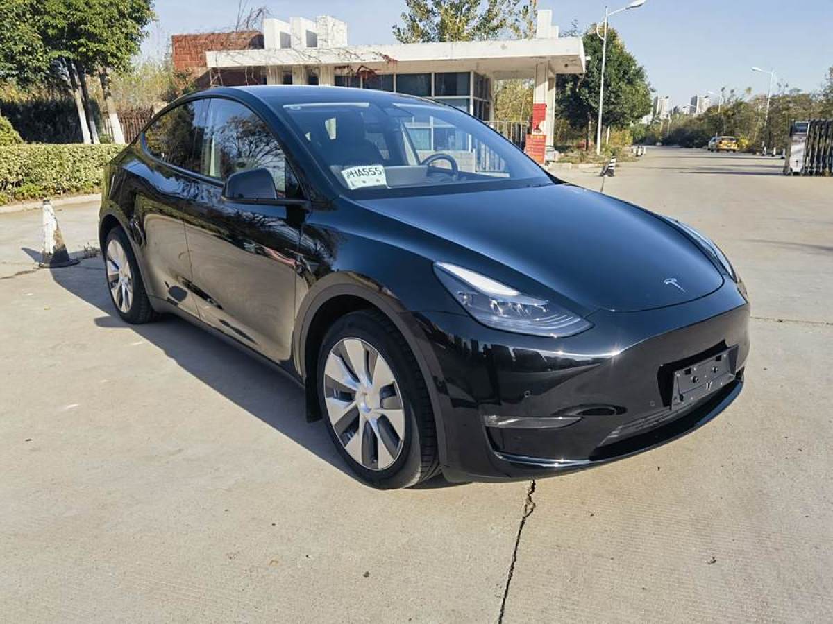 特斯拉 Model Y  2022款 改款 長(zhǎng)續(xù)航全輪驅(qū)動(dòng)版圖片