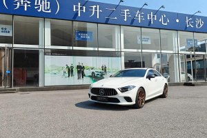 奔馳CLS級 奔馳 CLS 300 動感型