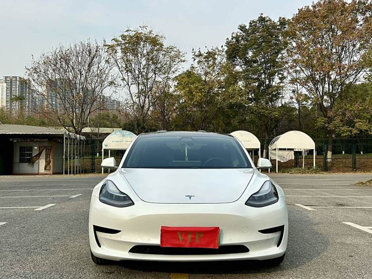 特斯拉 Model 3  2019款 標準續(xù)航后驅升級版圖片