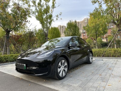 2022年12月 特斯拉 Model Y 改款 標準續(xù)航后驅(qū)升級版圖片