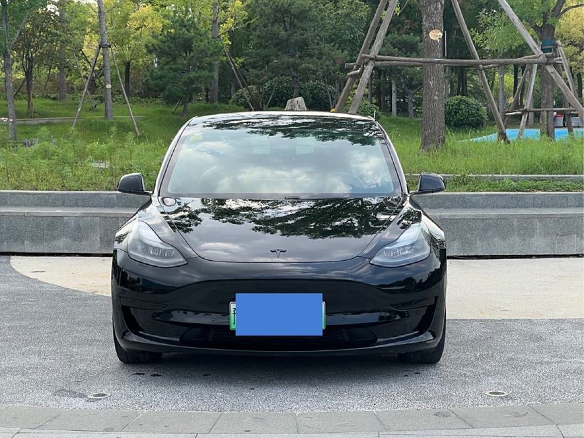 特斯拉 Model Y  2020款 改款 標(biāo)準(zhǔn)續(xù)航后驅(qū)升級(jí)版圖片