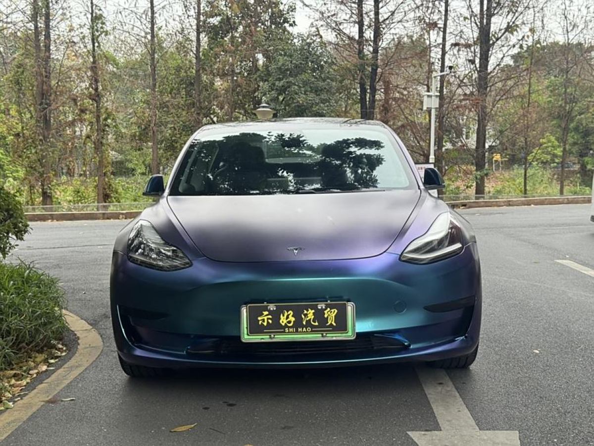 2020年9月特斯拉 Model 3  2020款 改款 標(biāo)準(zhǔn)續(xù)航后驅(qū)升級(jí)版