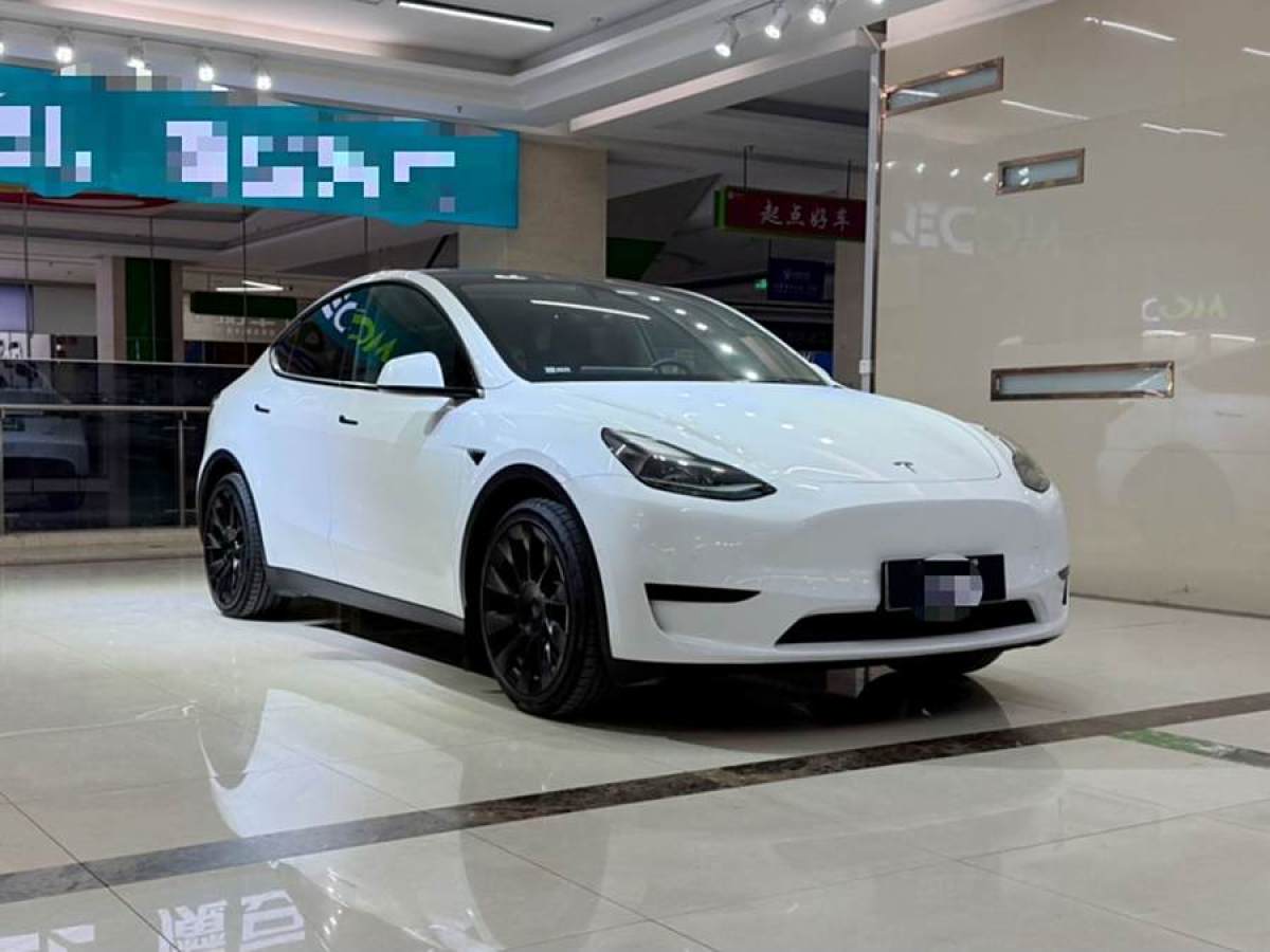 特斯拉 Model 3  2022款 后輪驅(qū)動(dòng)版圖片