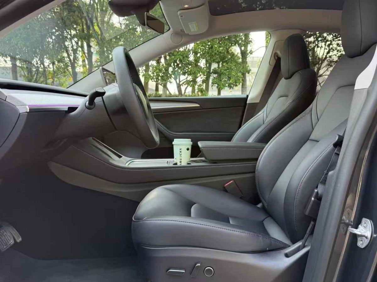 特斯拉 Model Y  2024款 Performance高性能版圖片