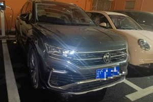 探岳 大众 280TSI 两驱豪华智联版