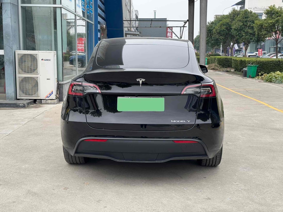 特斯拉 Model Y  2020款 改款 長(zhǎng)續(xù)航后輪驅(qū)動(dòng)版圖片