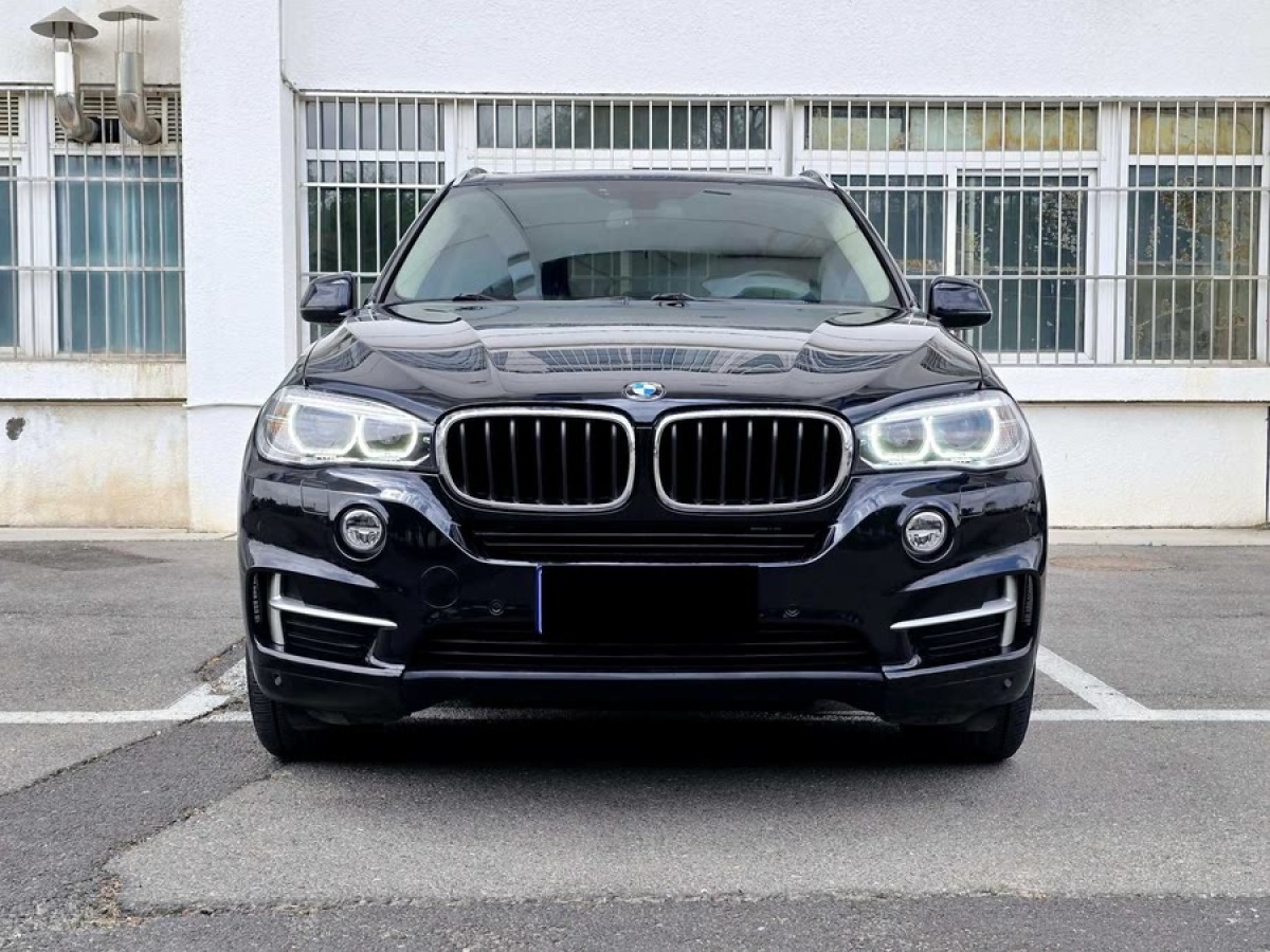 寶馬 寶馬X5  2014款 xDrive35i 領先型圖片