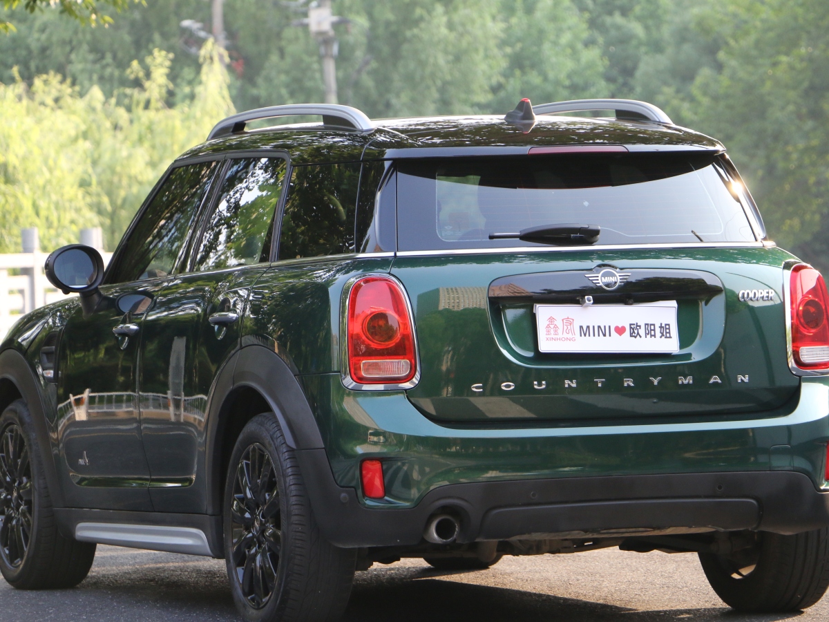 MINI COUNTRYMAN  2018款 1.5T COOPER ALL4 藝術(shù)家圖片