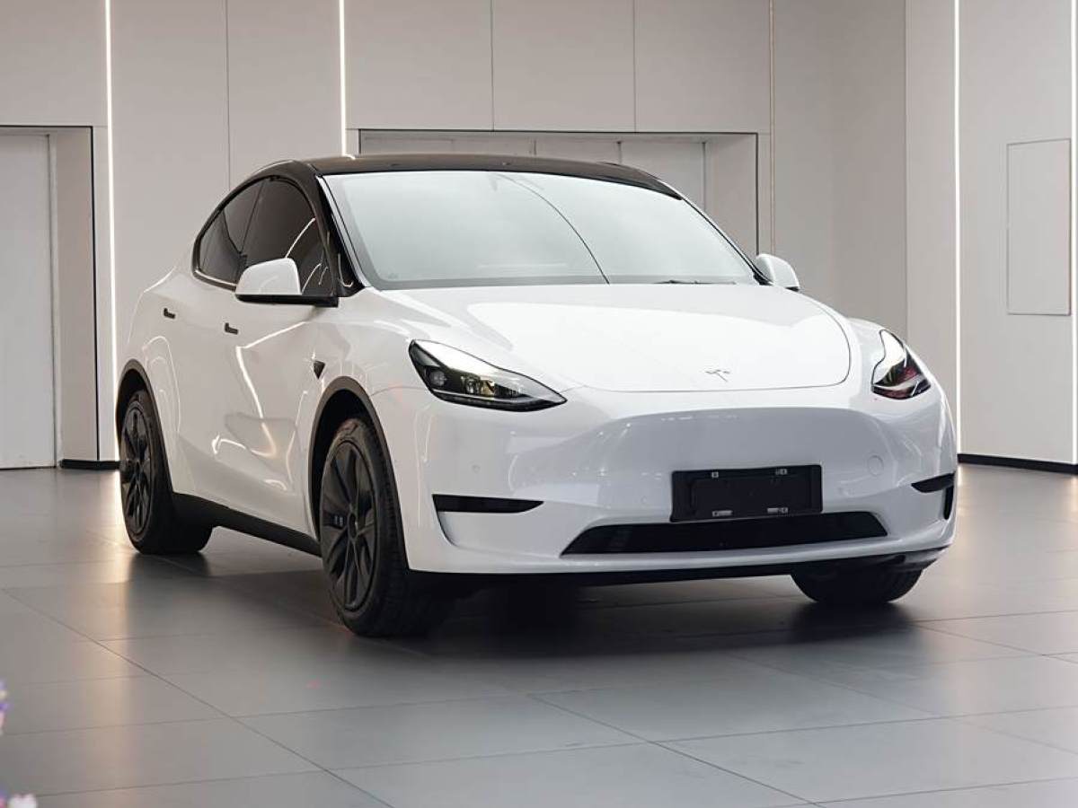 特斯拉 Model 3  2022款 后輪驅(qū)動版圖片