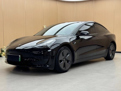 特斯拉 Model 3  2019款 Performance高性能全輪驅(qū)動(dòng)版圖片