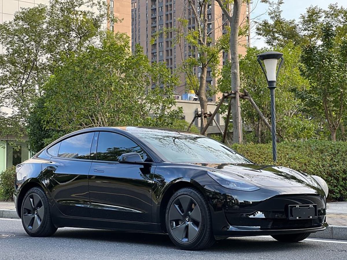 2022年3月特斯拉 Model 3  2022款 改款 后輪驅(qū)動版