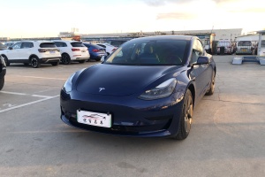 Model 3 特斯拉 标准续航后驱升级版