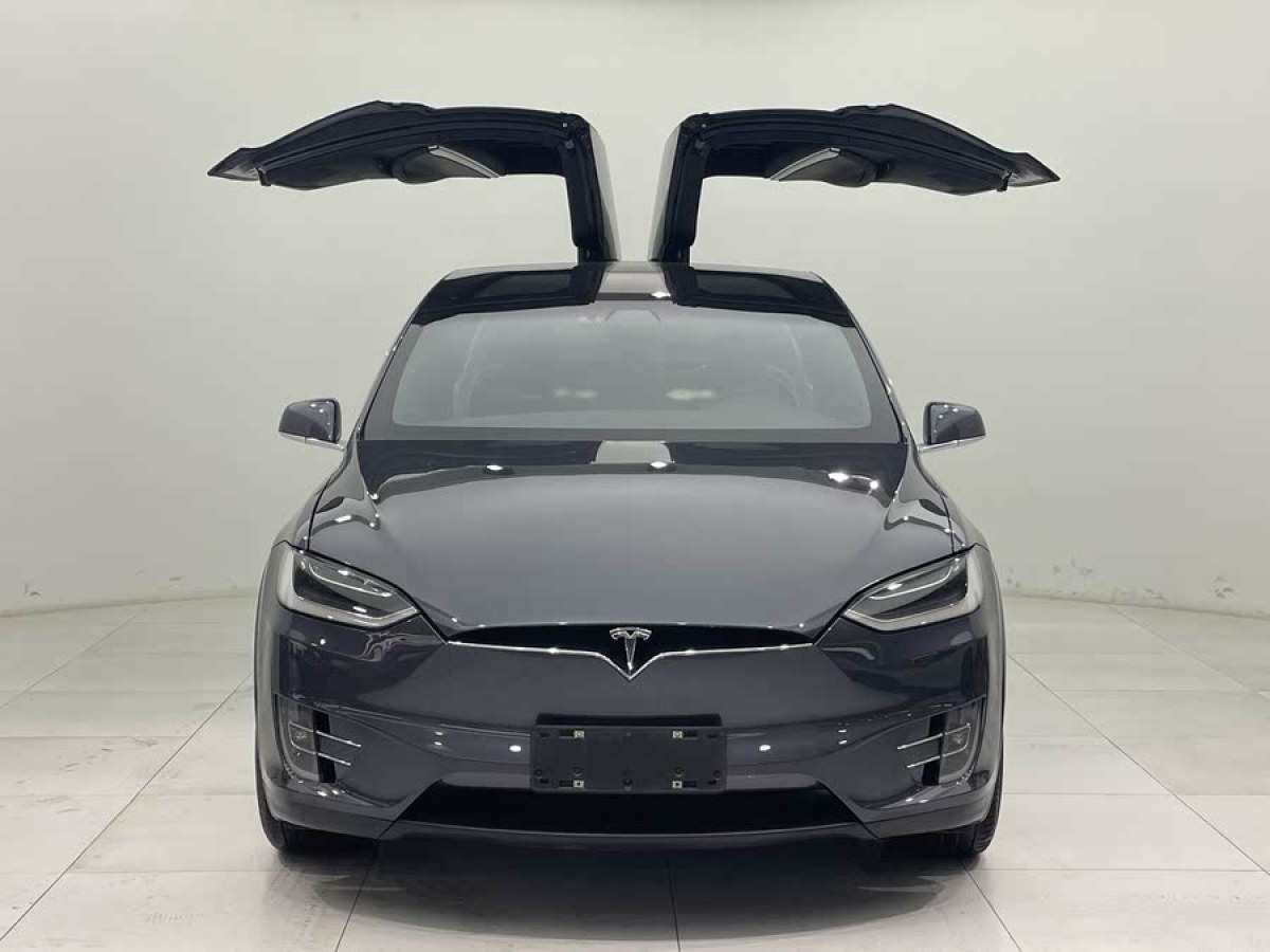 特斯拉 Model X  2016款 Model X 75D圖片