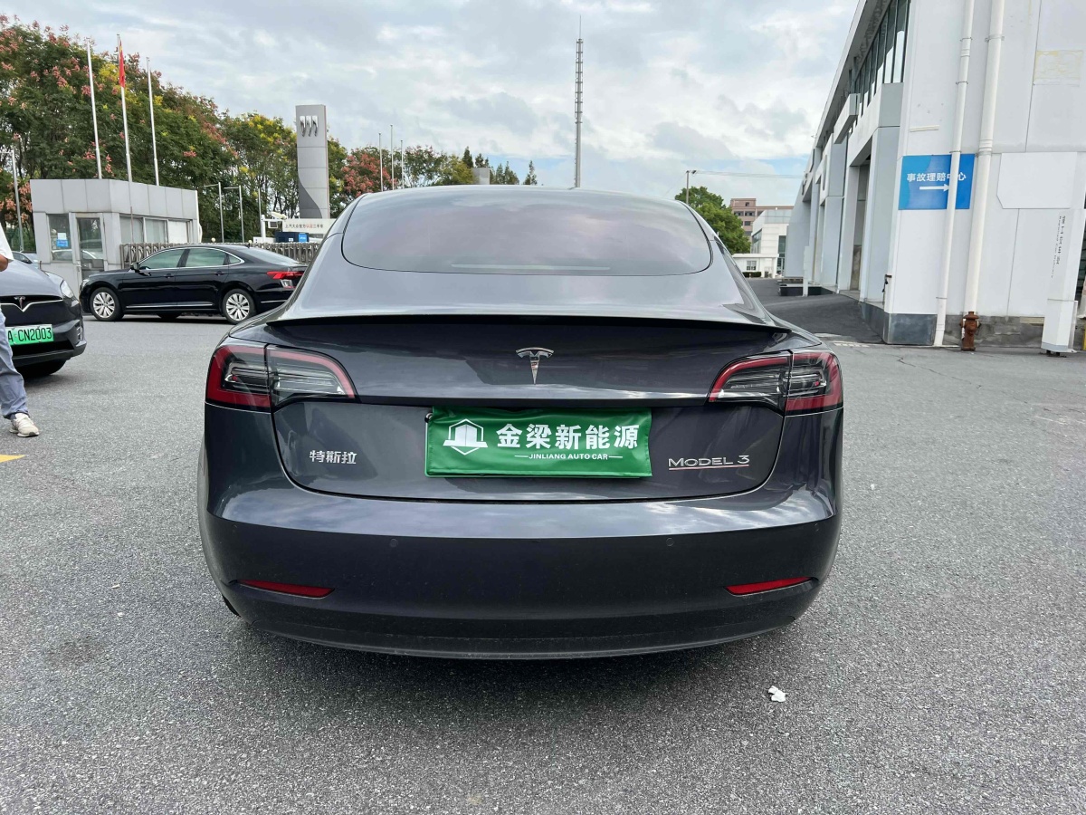 特斯拉 Model 3  2019款 Performance高性能全輪驅(qū)動版圖片