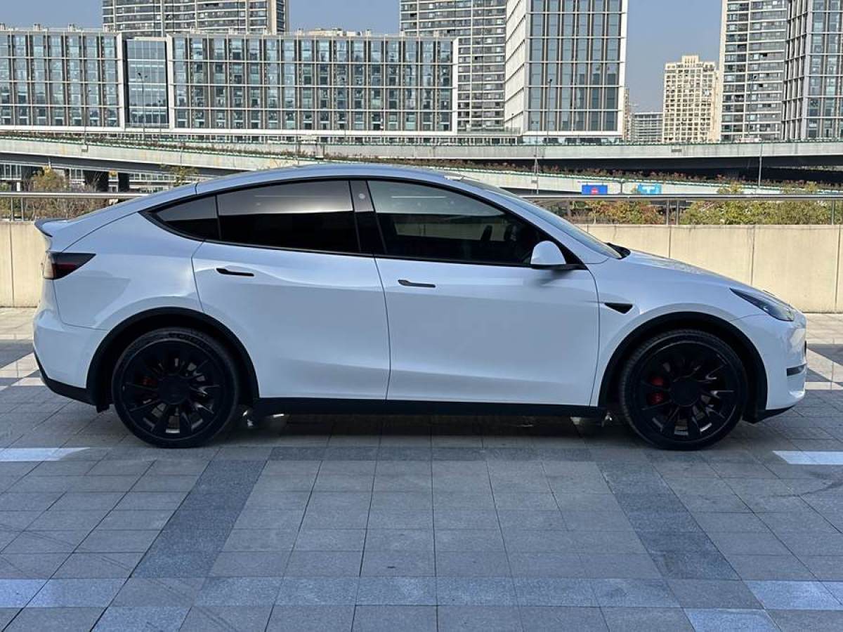 特斯拉 Model Y  2021款 改款 長續(xù)航全輪驅(qū)動版圖片