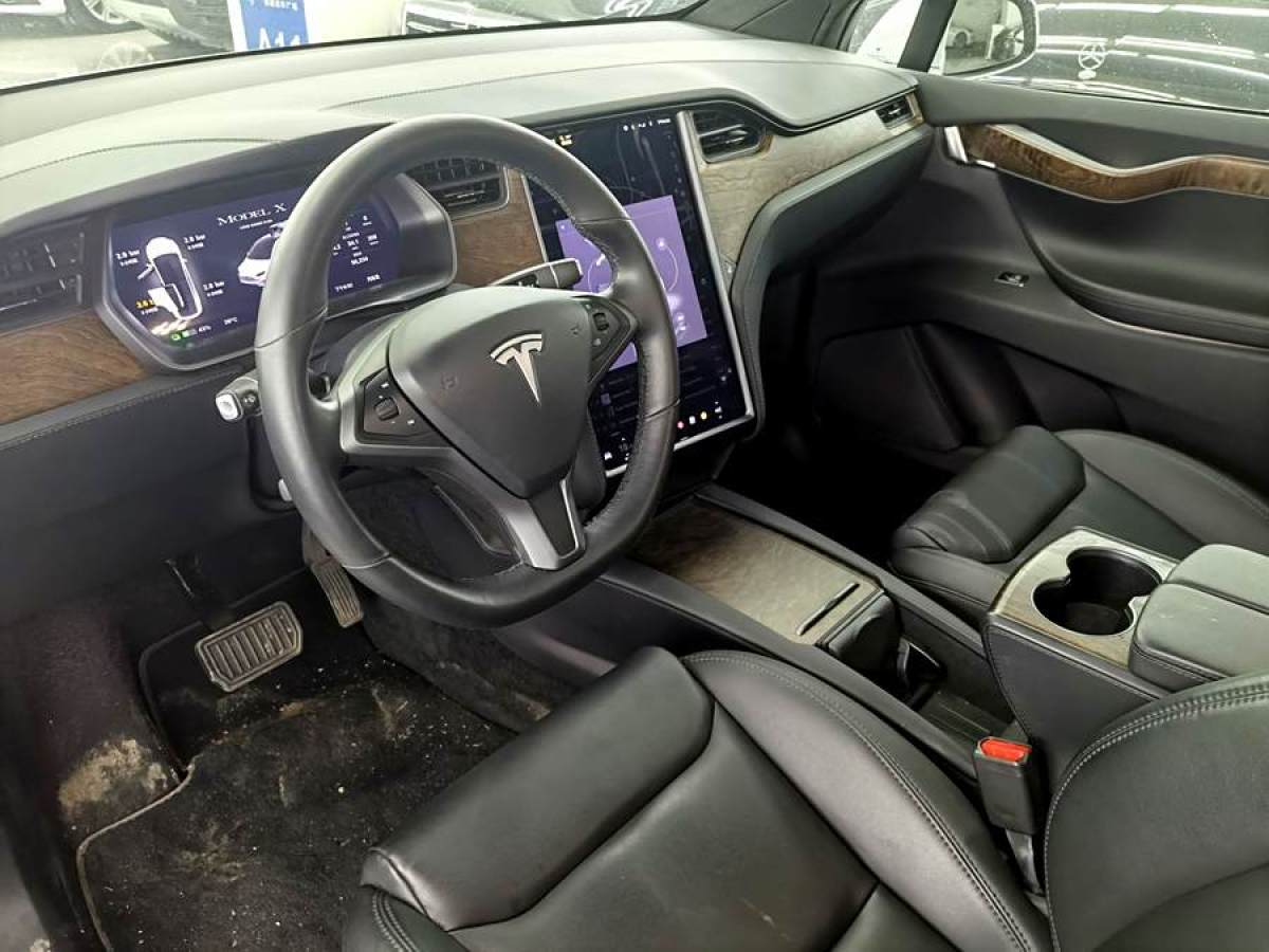 特斯拉 Model X  2020款 長續(xù)航升級版圖片