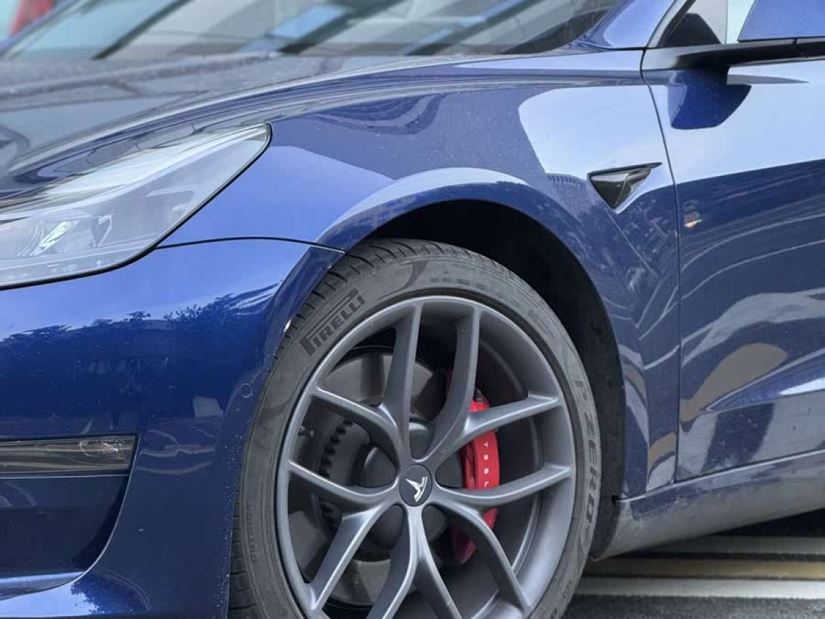 特斯拉 Model 3  2022款 Performance高性能全輪驅(qū)動(dòng)版圖片