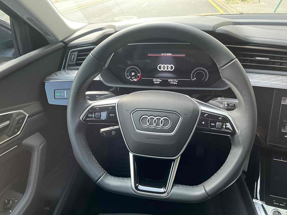 奧迪 奧迪e-tron  2021款 Sportback 55 quattro 臻選型圖片