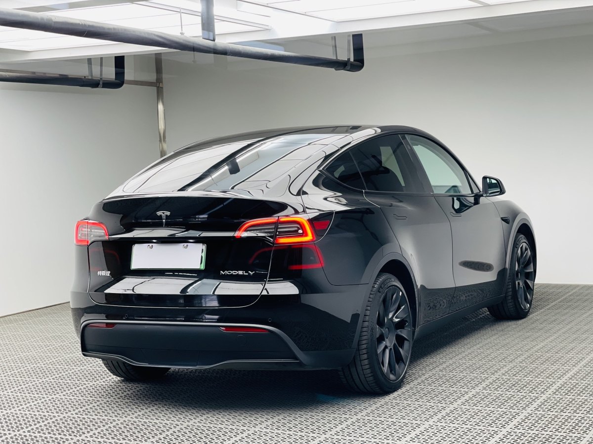 特斯拉 Model Y  2022款 后輪驅(qū)動版圖片