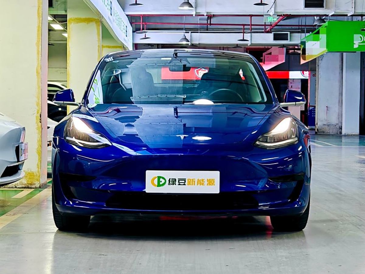 特斯拉 Model 3  2020款 改款 標(biāo)準(zhǔn)續(xù)航后驅(qū)升級(jí)版圖片