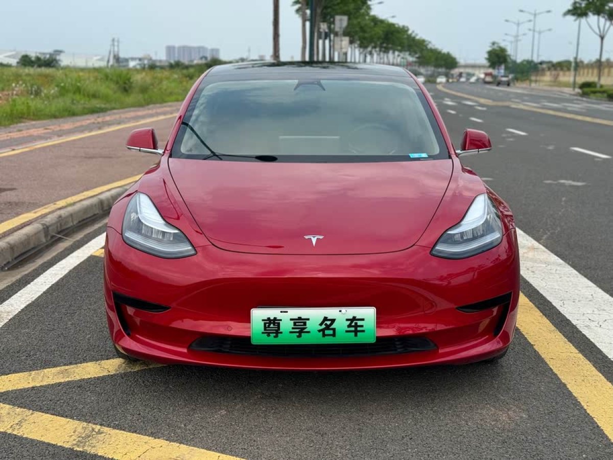 特斯拉 Model 3  2020款 改款 標(biāo)準(zhǔn)續(xù)航后驅(qū)升級(jí)版圖片
