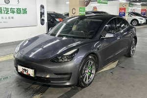 Model 3 特斯拉 后輪驅(qū)動版