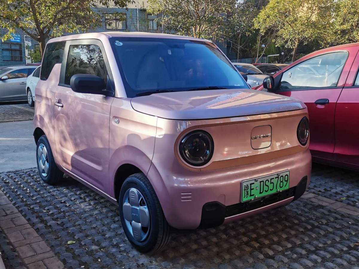 2024年12月吉利 熊貓mini  2024款 熊貓mini 200km 耐力熊