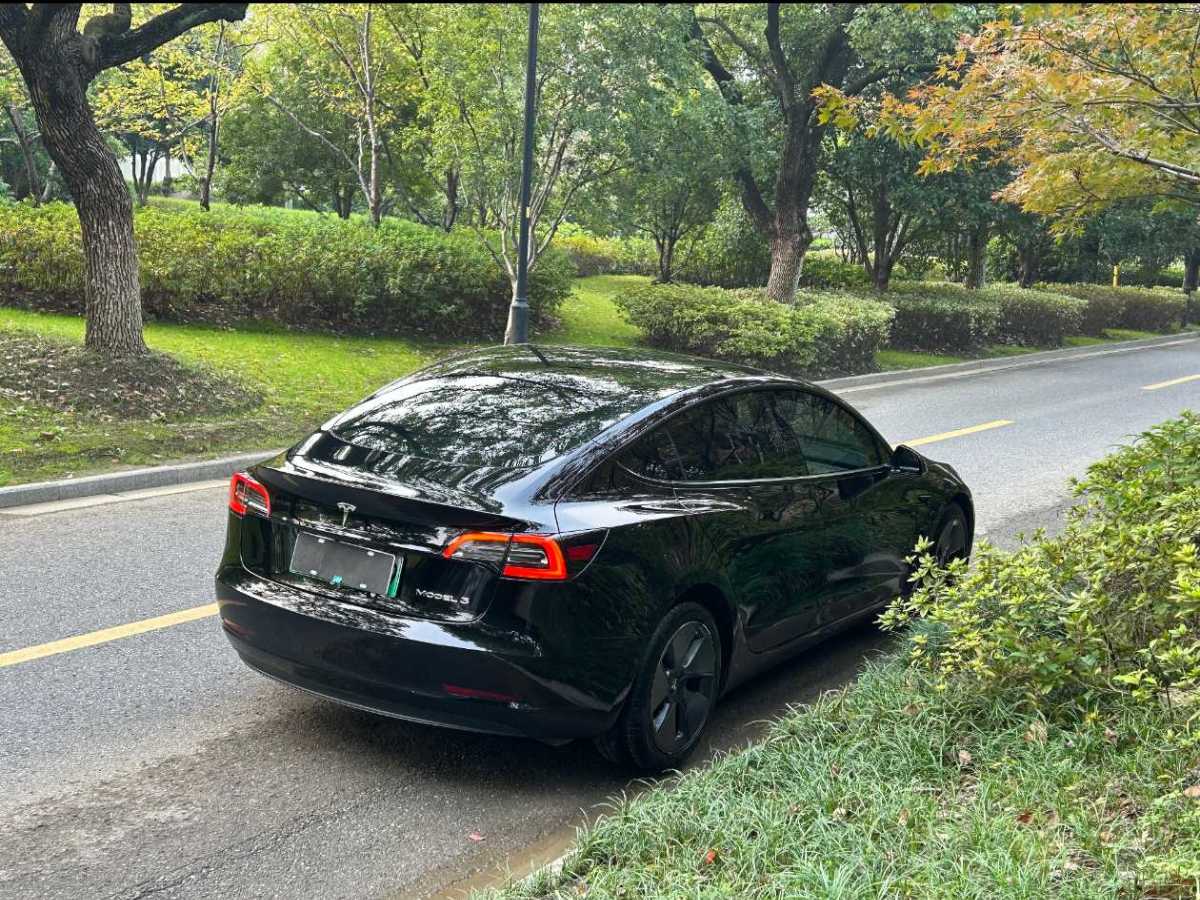 特斯拉 Model 3  2019款 標(biāo)準(zhǔn)續(xù)航后驅(qū)升級(jí)版圖片