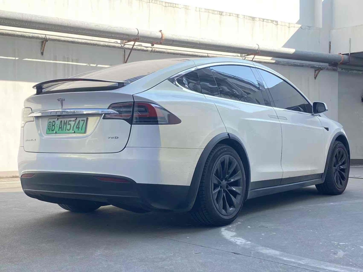 特斯拉 Model X  2017款 Model X 100D 長續(xù)航版圖片