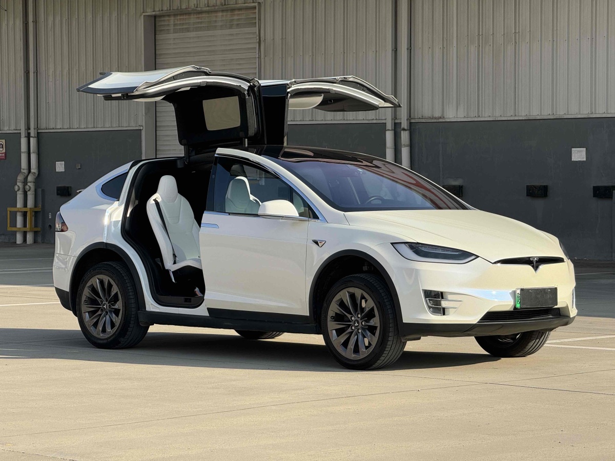 特斯拉 Model X  2017款 Model X 100D 長續(xù)航版圖片