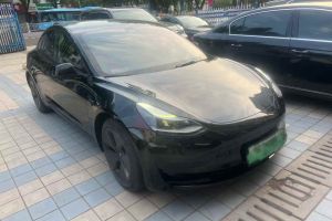 Model Y 特斯拉 Performance高性能全輪驅(qū)動版