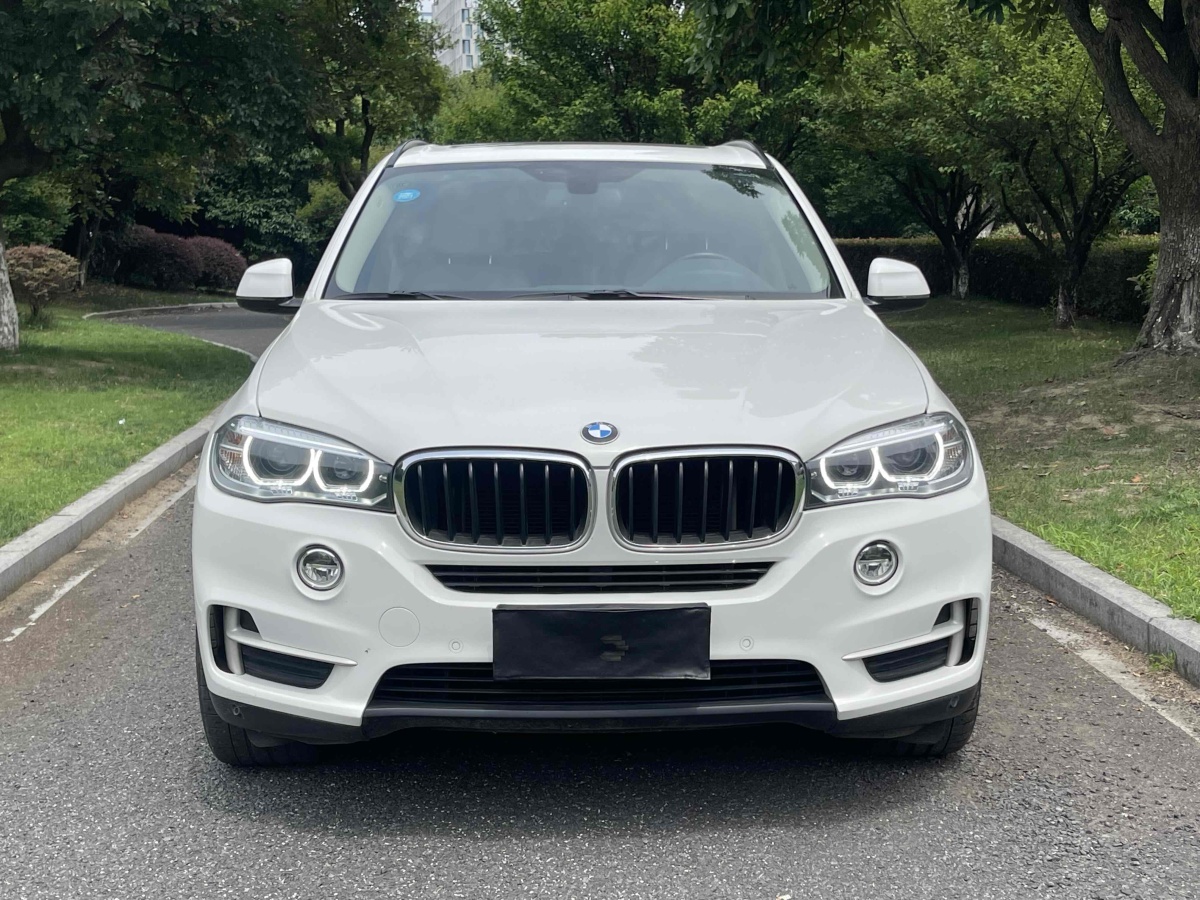 寶馬 寶馬X5  2014款 xDrive35i 領(lǐng)先型圖片