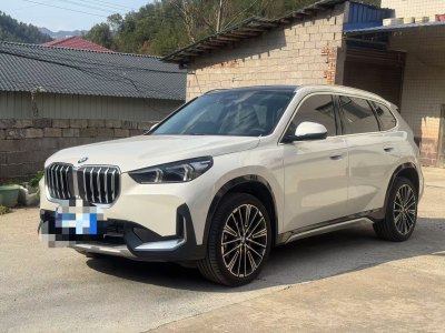 2024年10月 寶馬 寶馬X1 xDrive25Li X設(shè)計(jì)套裝圖片