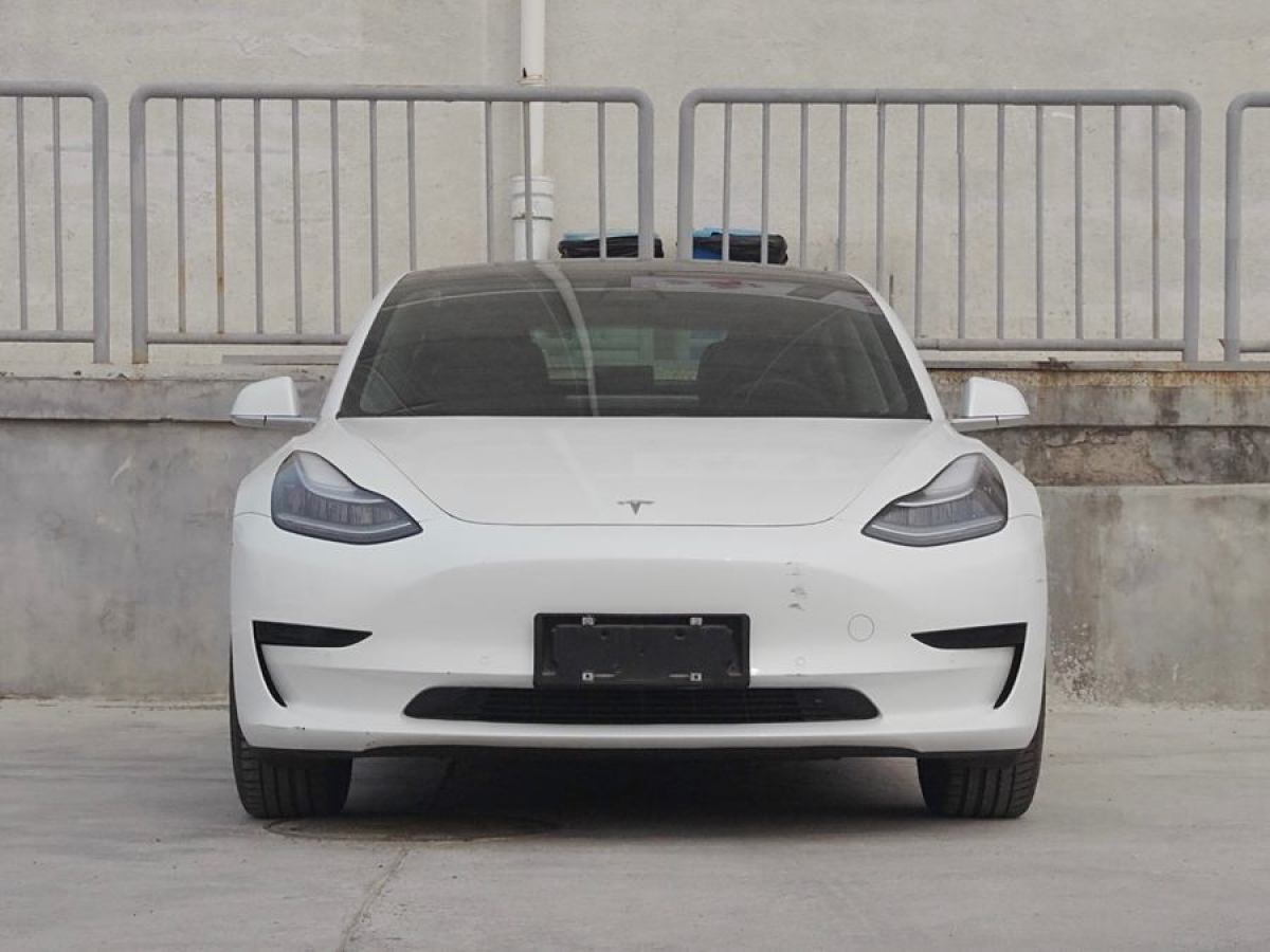 特斯拉 Model 3  2019款 長(zhǎng)續(xù)航后驅(qū)版圖片