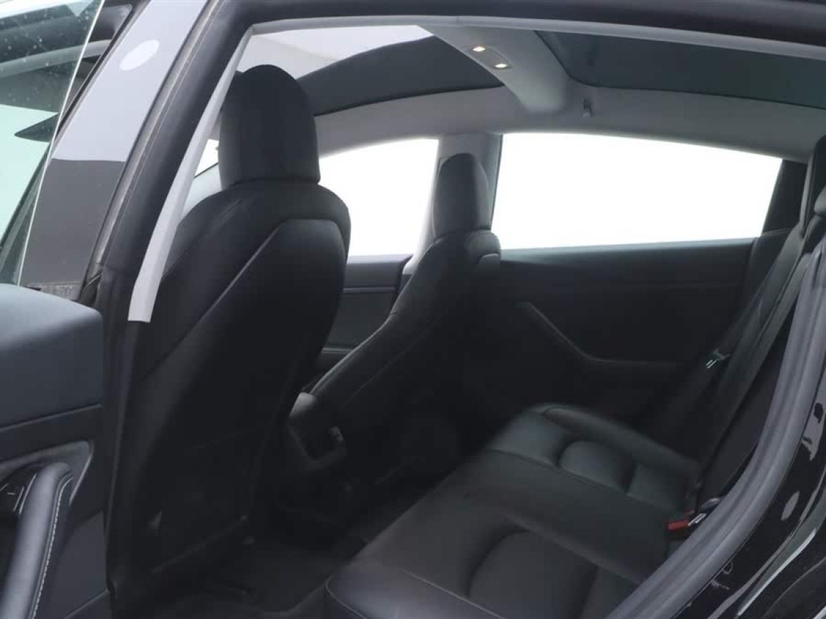 特斯拉 Model 3  2020款 改款 標(biāo)準(zhǔn)續(xù)航后驅(qū)升級(jí)版圖片