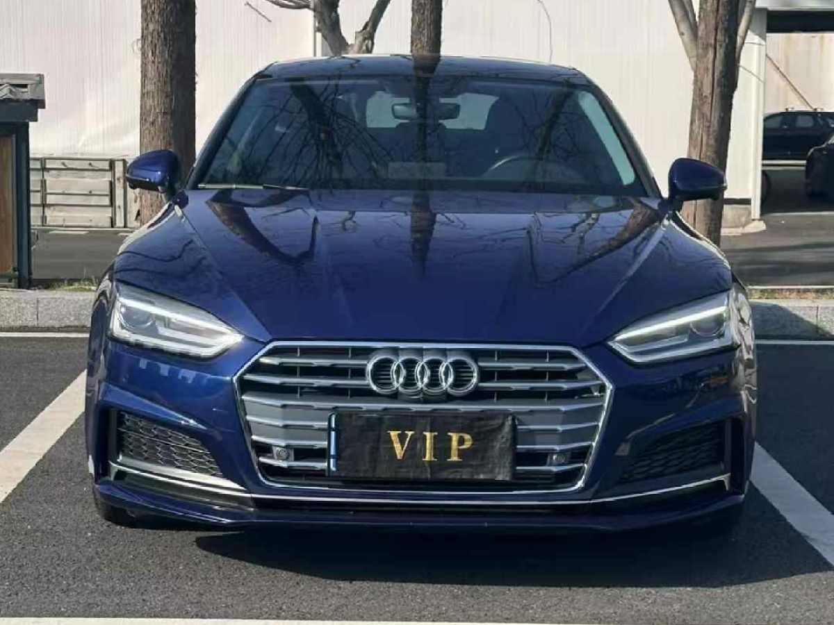 奧迪 奧迪Q5  2018款 典藏版 40 TFSI 技術(shù)型圖片