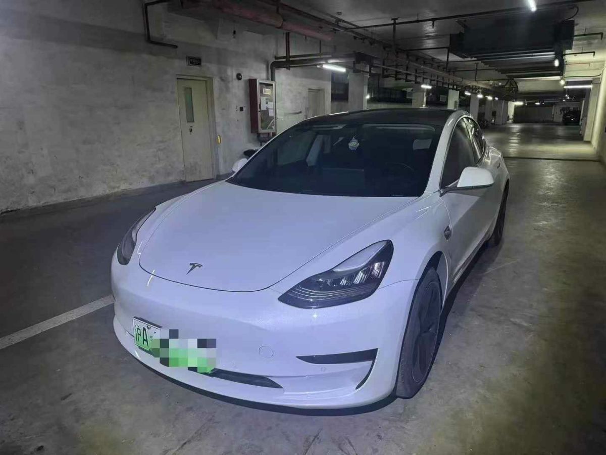 特斯拉 Model 3  2020款 標(biāo)準(zhǔn)續(xù)航后驅(qū)升級(jí)版圖片