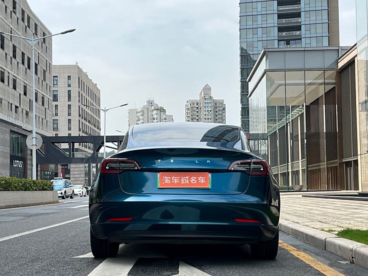 特斯拉 Model 3  2019款 標(biāo)準(zhǔn)續(xù)航后驅(qū)升級版圖片