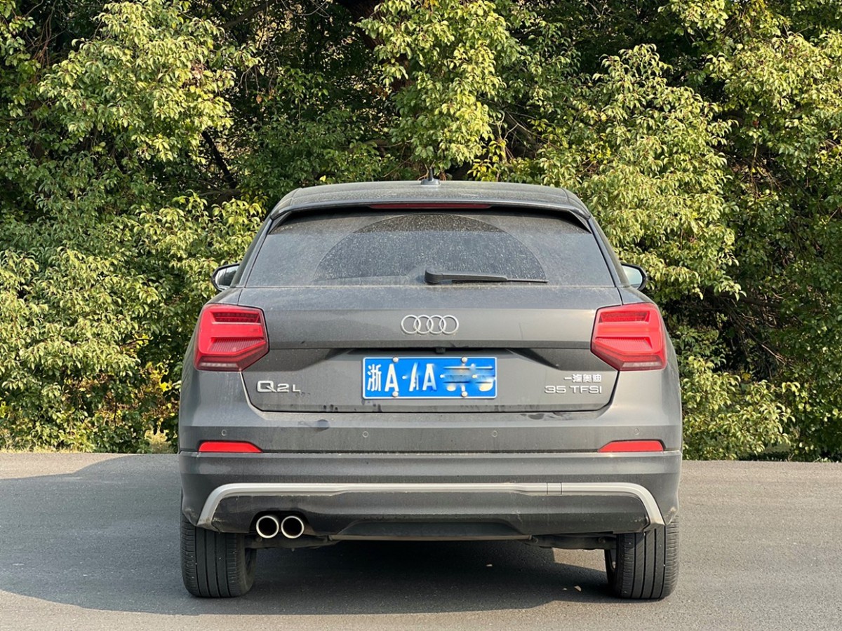 奧迪 奧迪Q2L  2020款 35TFSI 進(jìn)取動(dòng)感型圖片